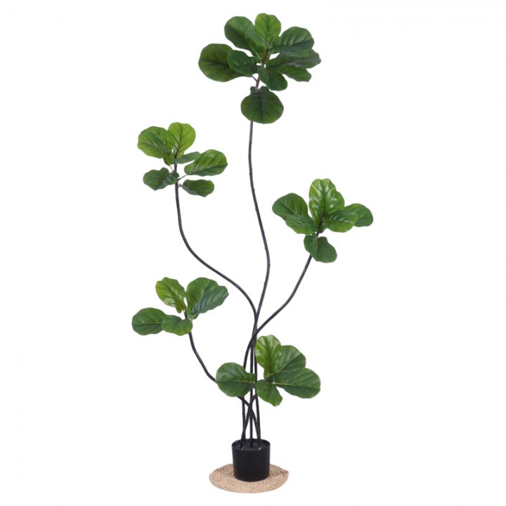 Cây cảnh giả Ficus 150cm 5 đầu